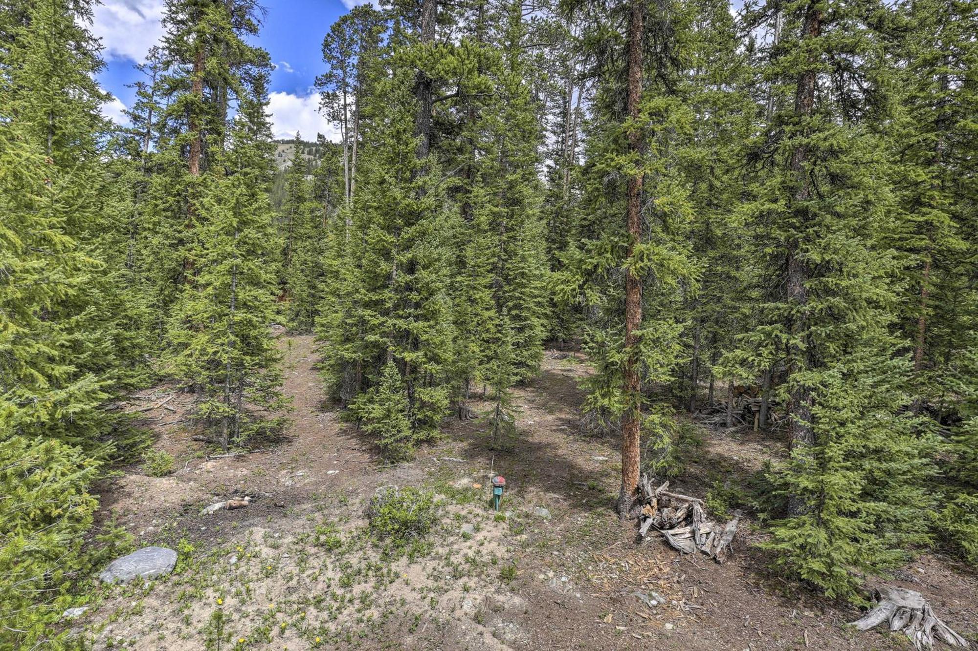 Cozy Breckenridge Cabin With Deck, 8 Mi To Gondola Exterior photo